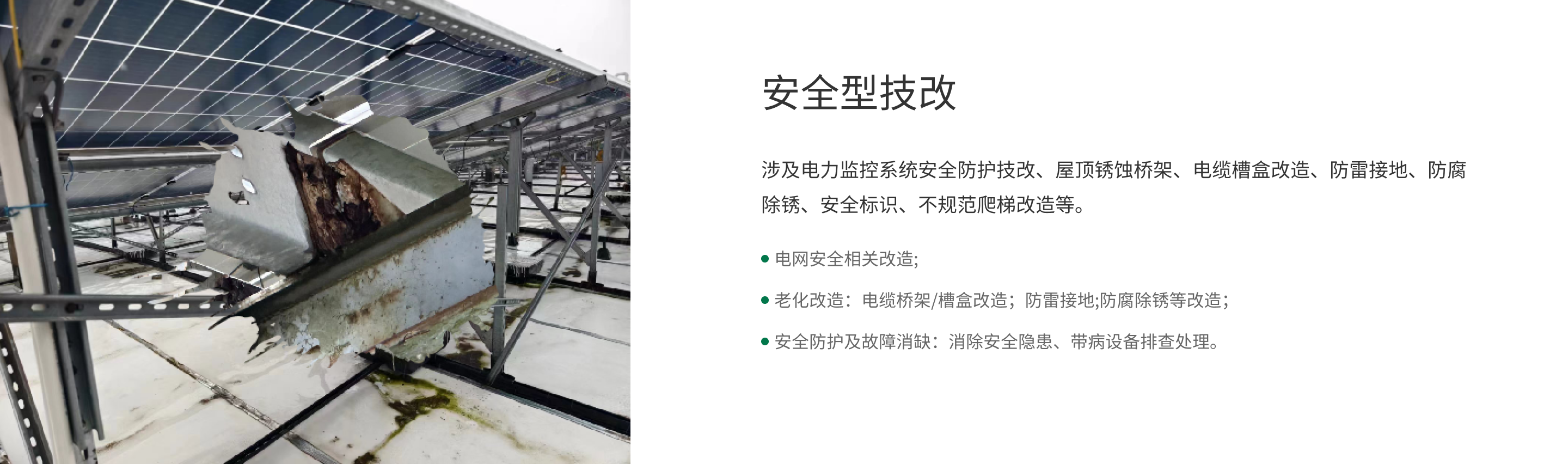 林洋0002.png